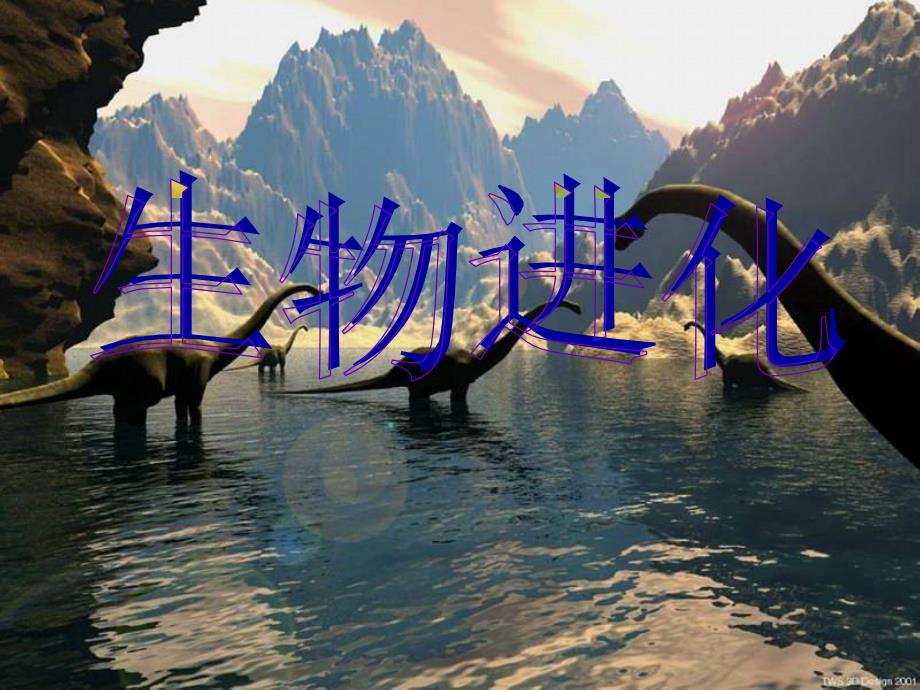 《生物进化》课件1_第1页