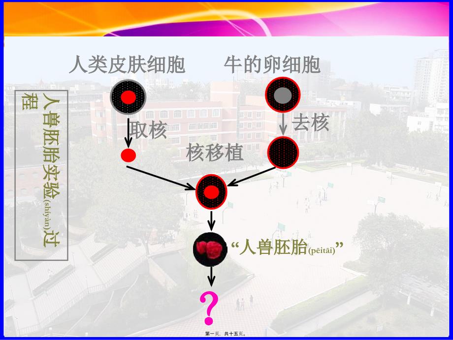 细胞核—系统的控制中心陈姣公开课_第1页