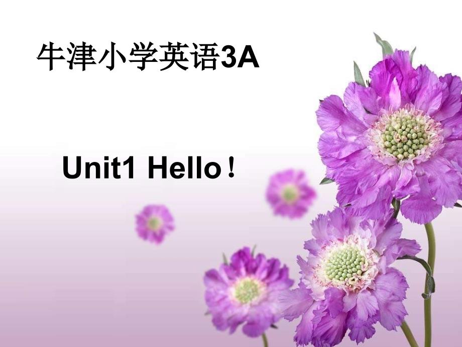 三级英语上册 Unit 1(第一课时)课件 牛津_第1页