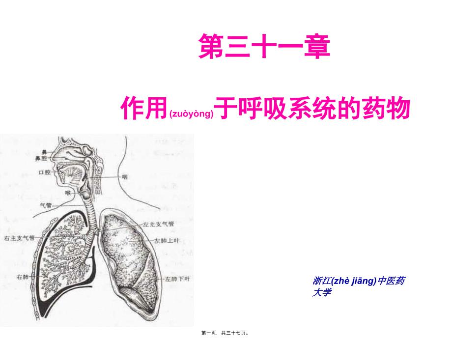 第章呼吸系统药理_第1页