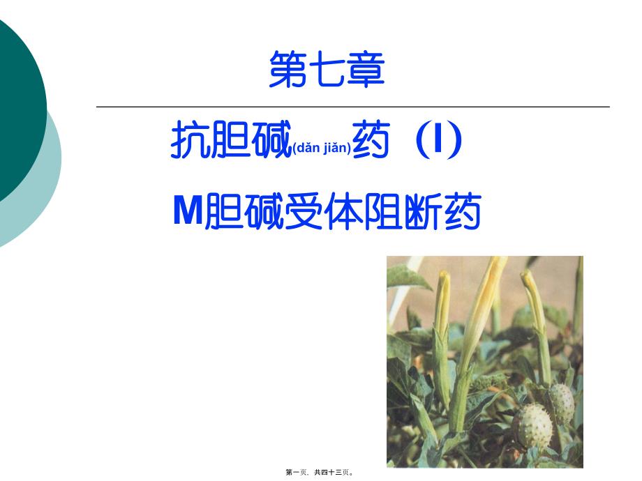 胆碱受体阻断药_第1页