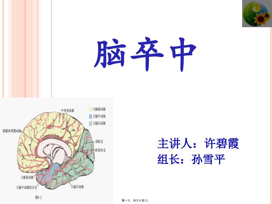 脑卒中终_第1页