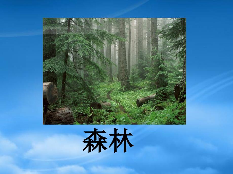 二年級(jí)語(yǔ)文下冊(cè) 享受森林2課件 滬教_第1頁(yè)