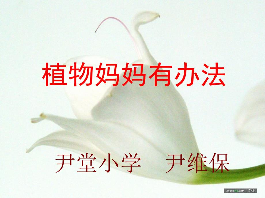 植物妈妈有办法(教育精品)_第1页