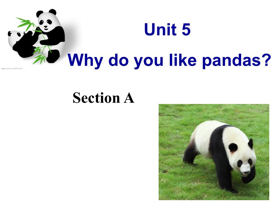 七年级下册sectionA-unit5-why-do-you-like-pandas-课件_第1页