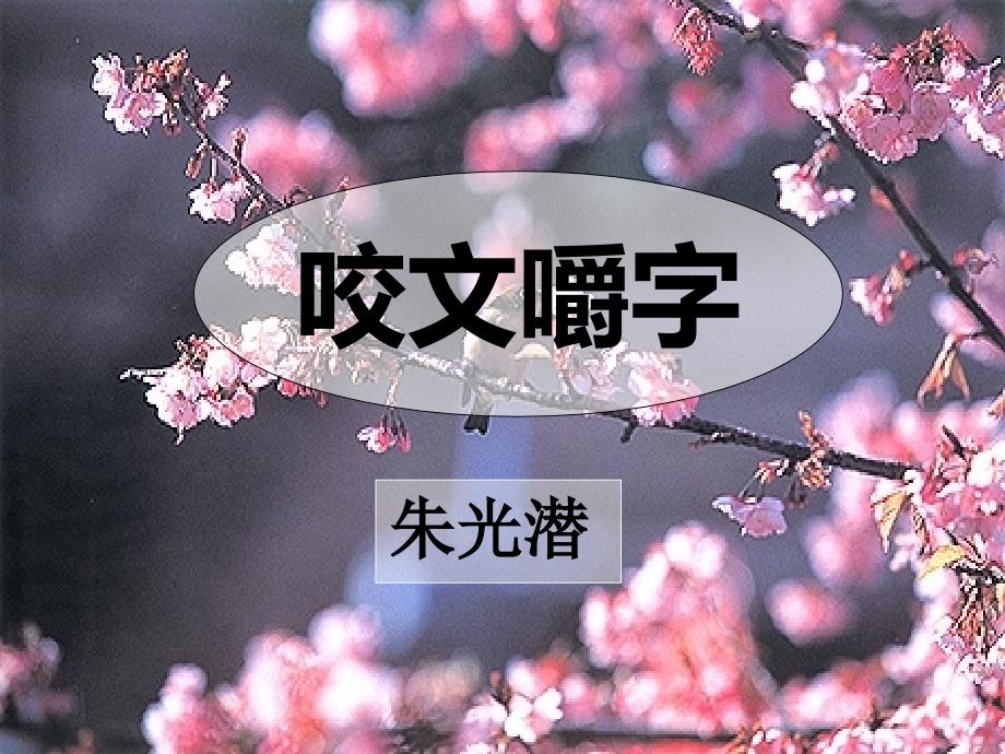 《咬文嚼字》课件_第1页