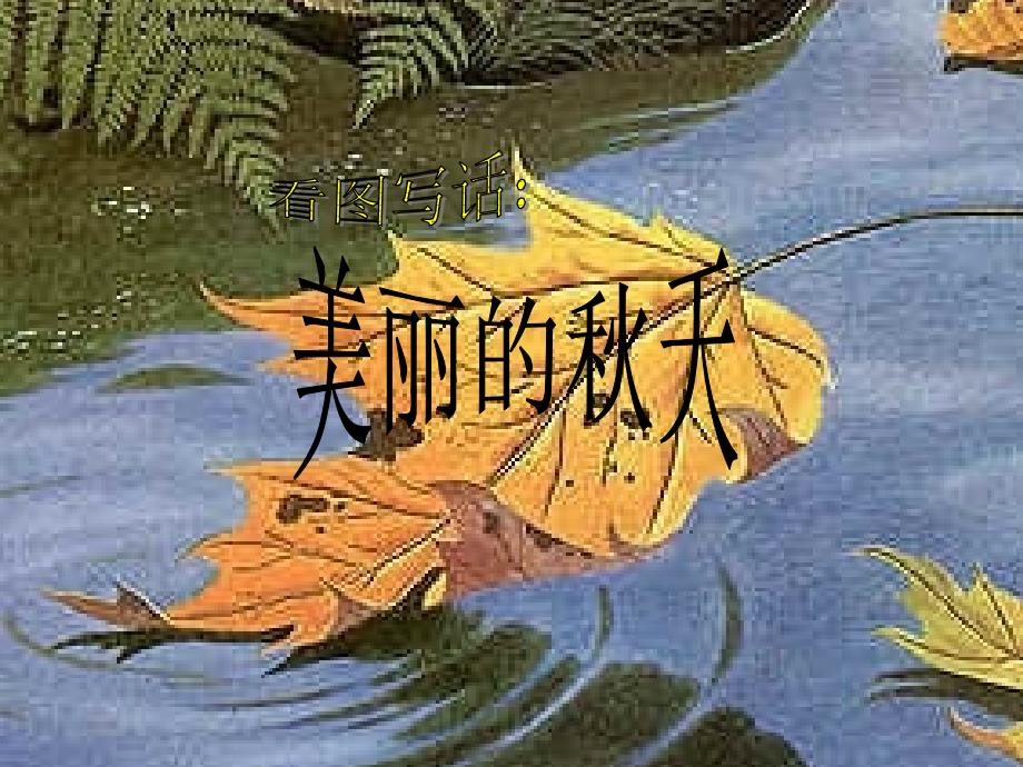 美丽的秋天课件_第1页