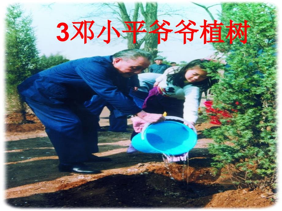 《爷爷植树》课件(教育精品)_第1页