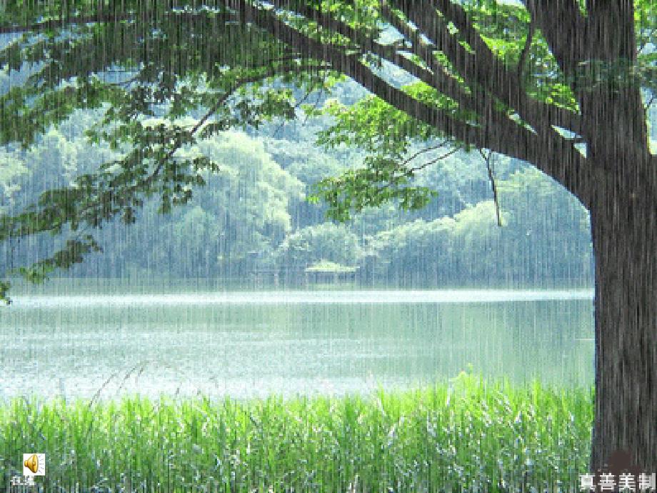 苏教版一年级下《雨点》(教育精品)_第1页