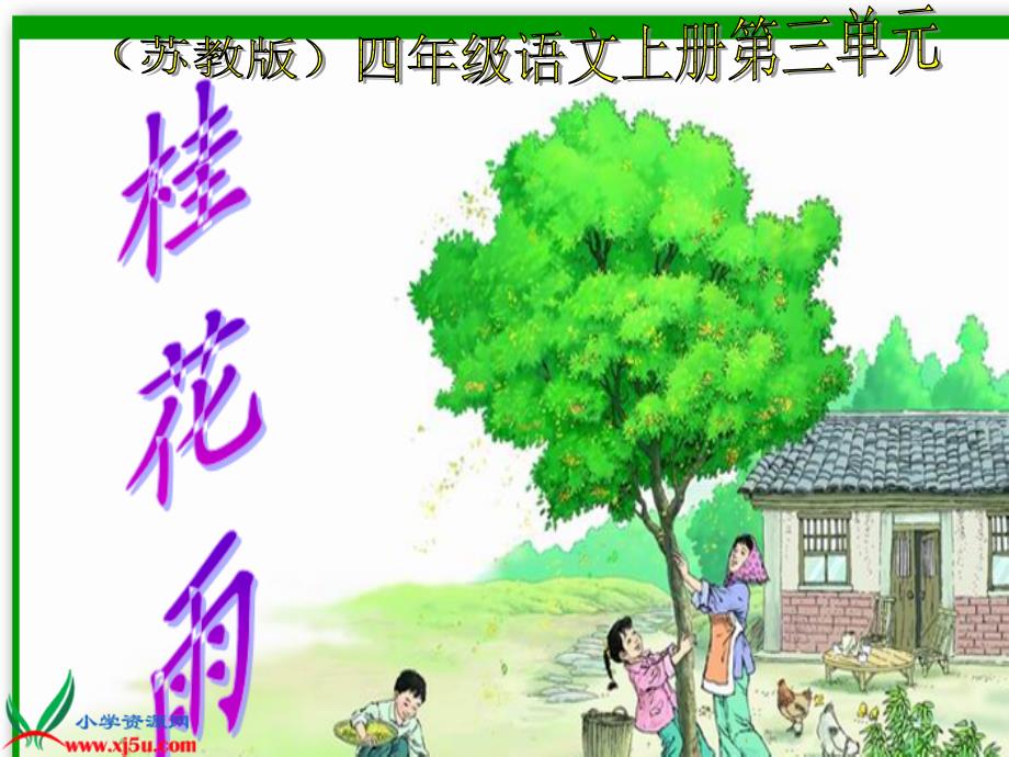 苏教版四年级语文上册《桂花雨》课件(教育精品)_第1页