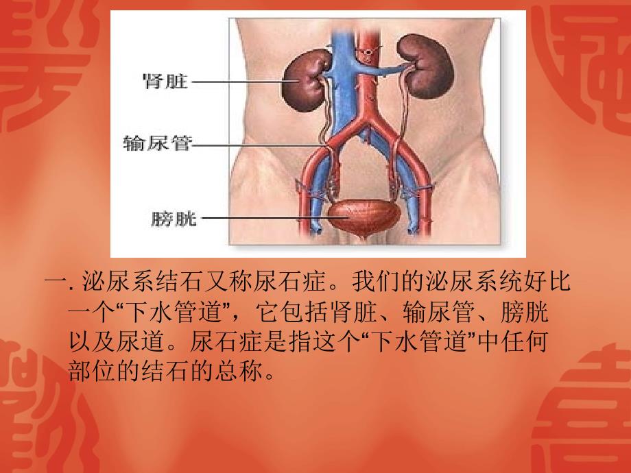 医学课件泌尿系结石的健康教育_第1页