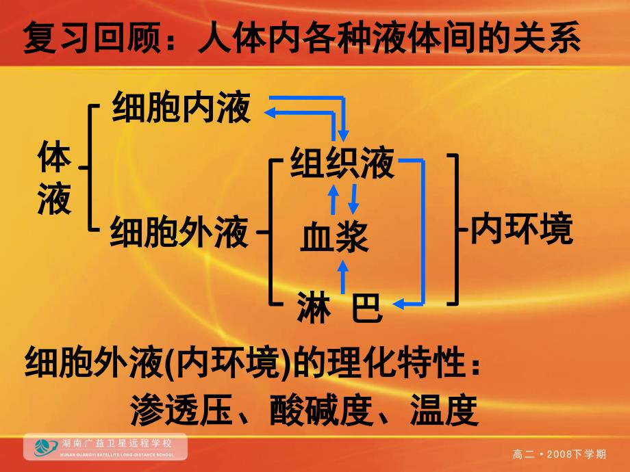 20080909高二生物(内环境稳态的重要性)_第1页