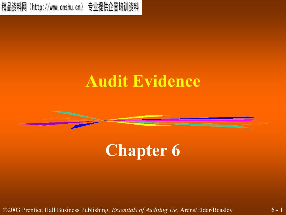 AuditEvidence(英文版)_第1页