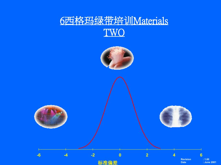 6西格玛绿带培训Materials(PPT 277页)_第1页