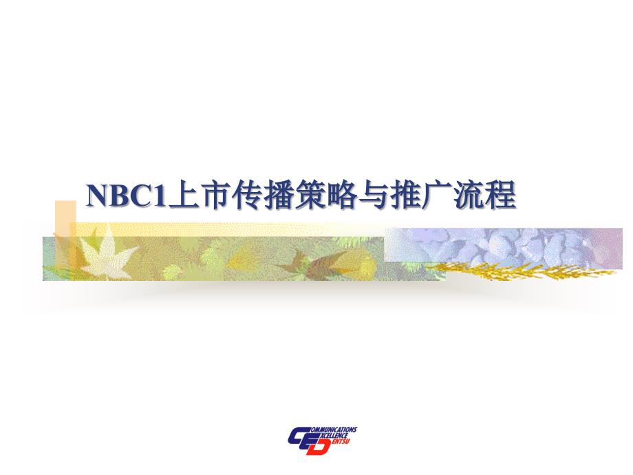 NBC1推广提案(电通作品)_第1页