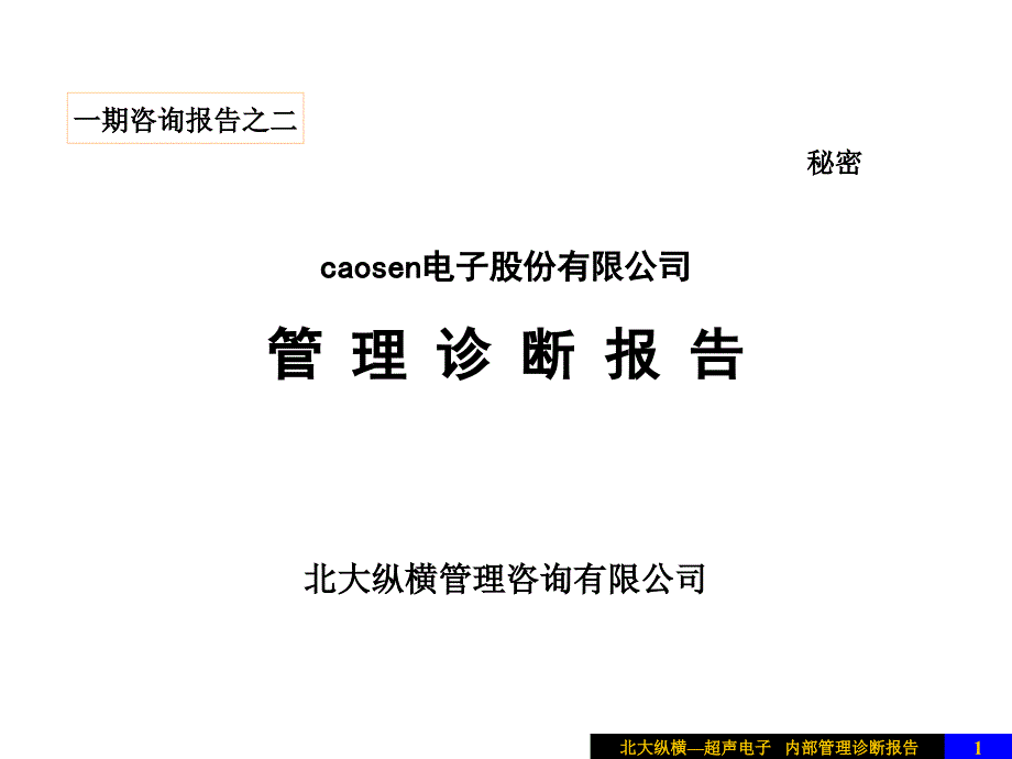 caosen电子股份有限公司内部管理诊断报告_第1页