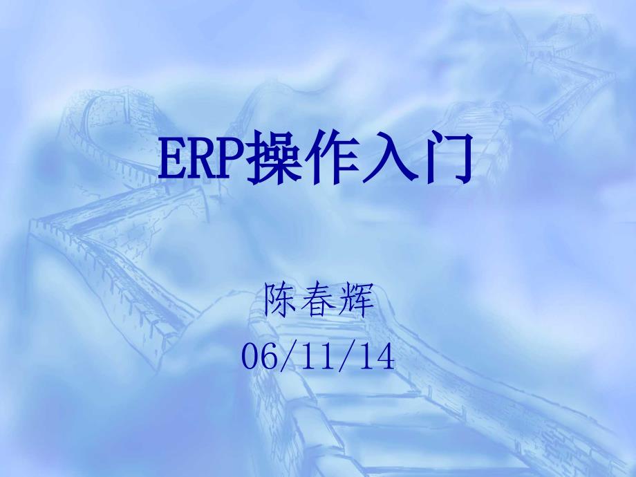 ERP操作入门概述_第1页