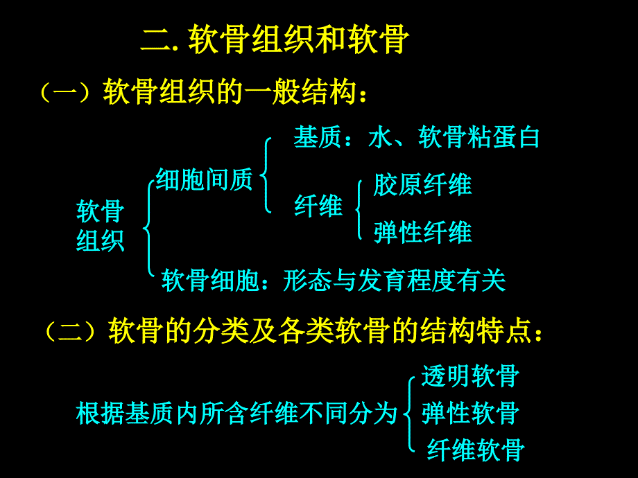 (人体结构学)第二章 基本组织 软骨和骨_第1页