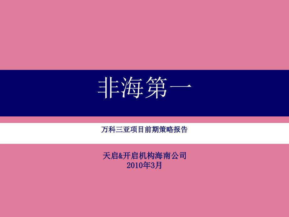 (案例)三亚滨海度假休闲项目前期策略报告1_第1页