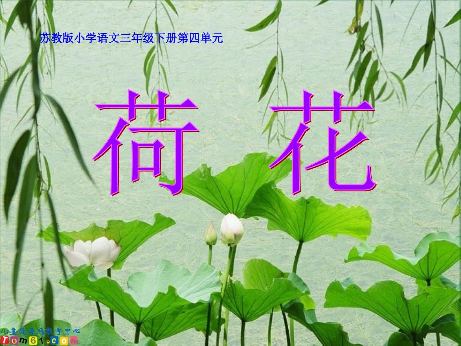 《荷花》PPT之一课件（苏教版三年级语文下册课件）(教育精品)_第1页