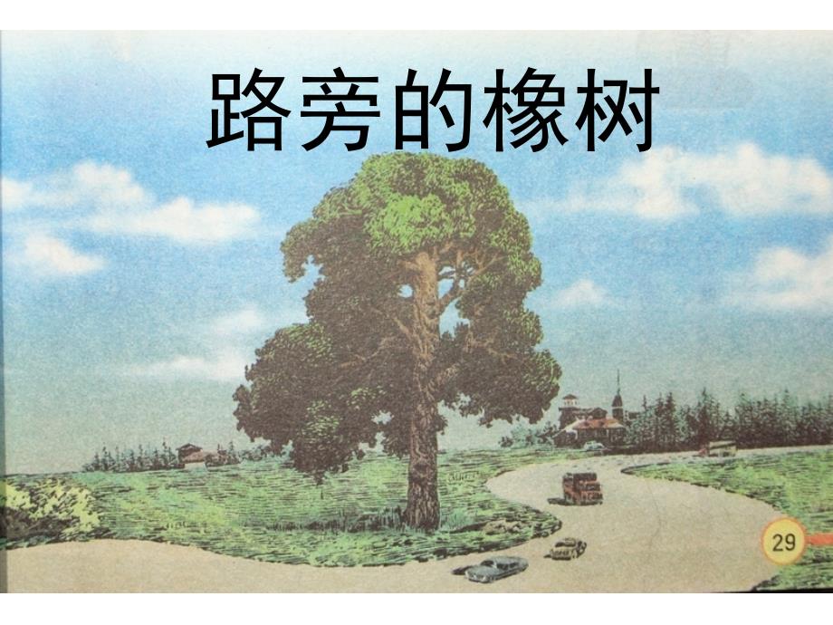 《路旁的橡树》刘秀红(教育精品)_第1页