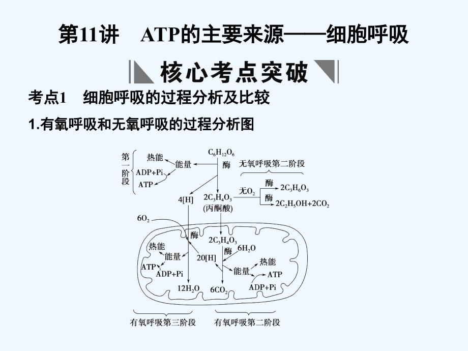 【创新设计】2011届高考生物一轮复习 第4章 第11讲 ATP的主要来源——细胞呼吸课件 苏教版必修1_第1页