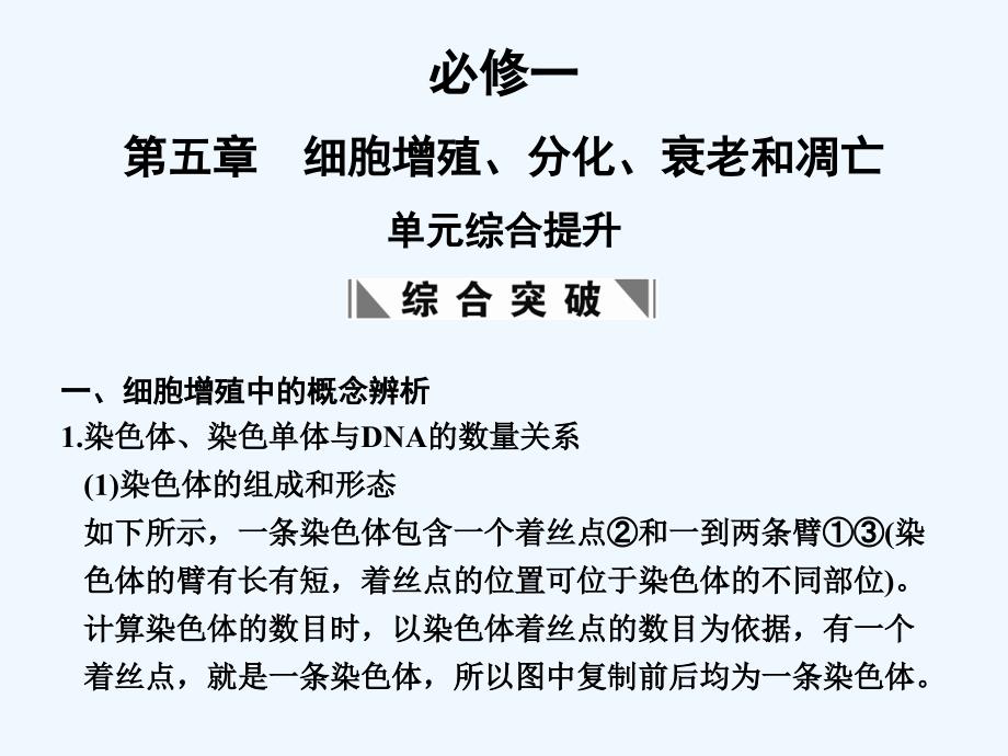 【創(chuàng)新設計】2011屆高考生物一輪復習 第5章單元綜合提升 細胞增殖、分化、衰老和凋亡課件 蘇教版必修1_第1頁