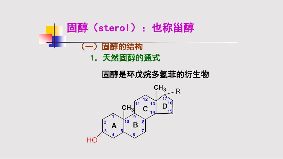 生物化学基础固醇_第1页