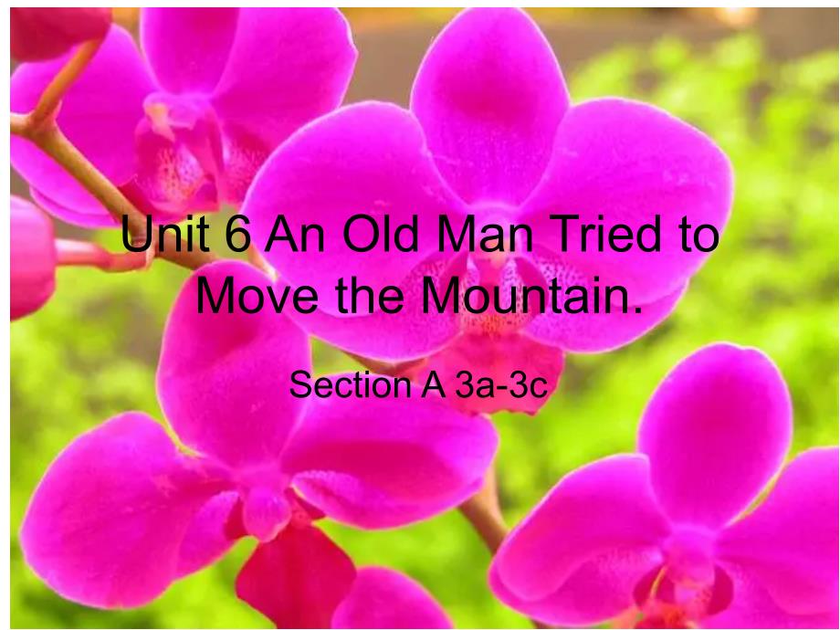 人教版八年级英语下册 Unit 6 An old man tried to move the mountains. Section A 3a-3c 课件_第1页