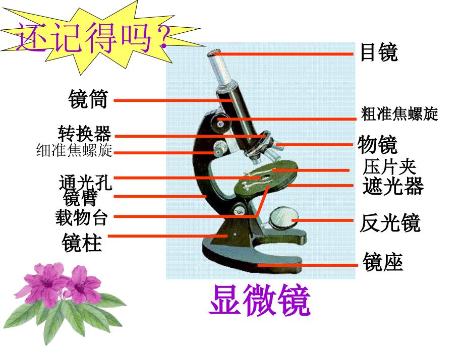 探索生命的器具 2（精品）_第1页