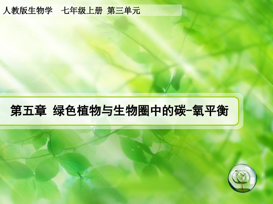 1110绿色植物与生物圈中的碳氧平衡3_第1页