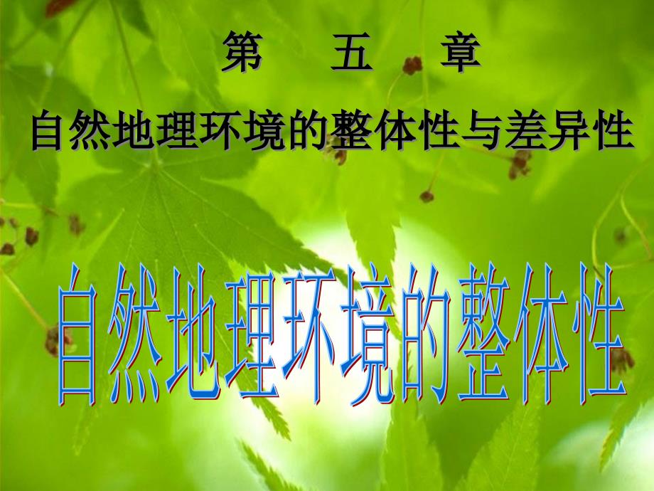 51自然地理环境的整体性_第1页