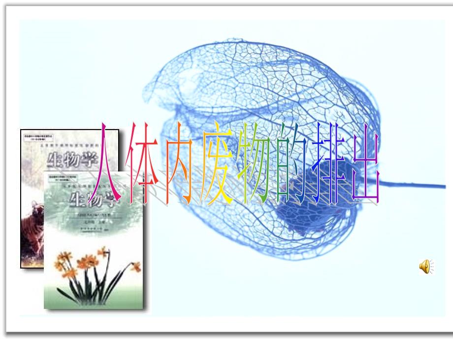 第五章人体内废物的排出_第1页