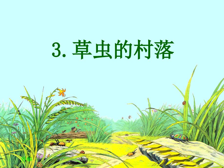 《3草虫的村落》课件_第1页