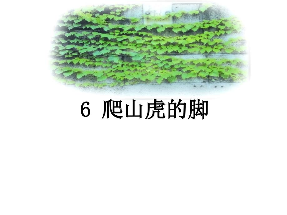 爬山虎的脚 (6)_第1页