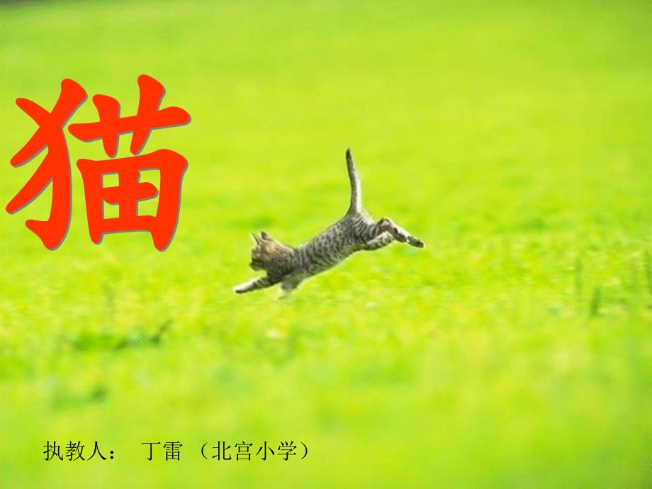 人教版四年级语文《猫》_第1页