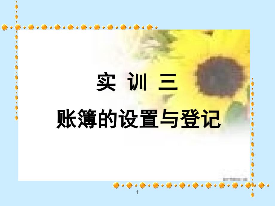 账簿的设置与登记_第1页