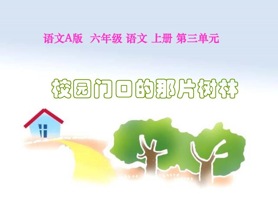 校园门口的那片树林_第1页