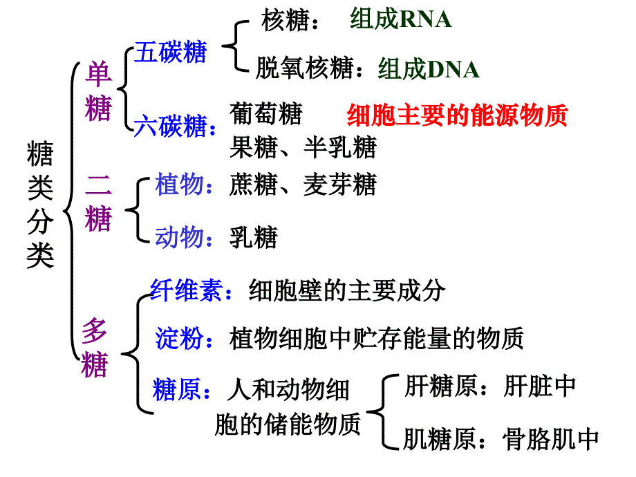 糖类和脂质（精品）_第1页