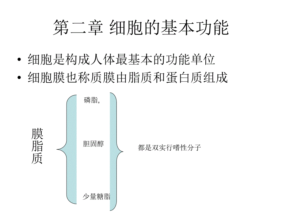 第二章 细胞的基本功能（精品）_第1页