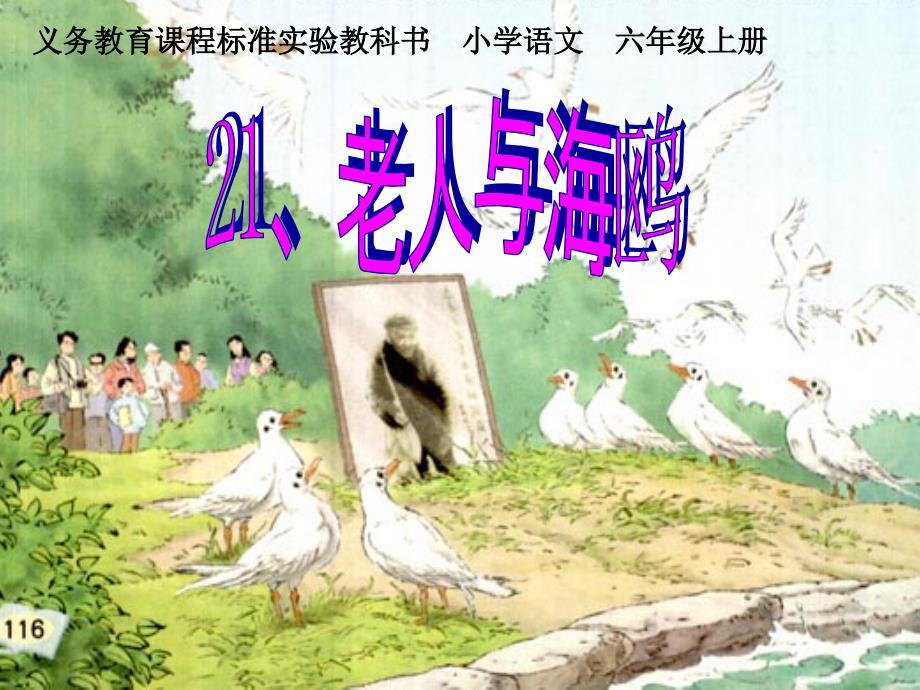 21、老人与海鸥 (2)_第1页