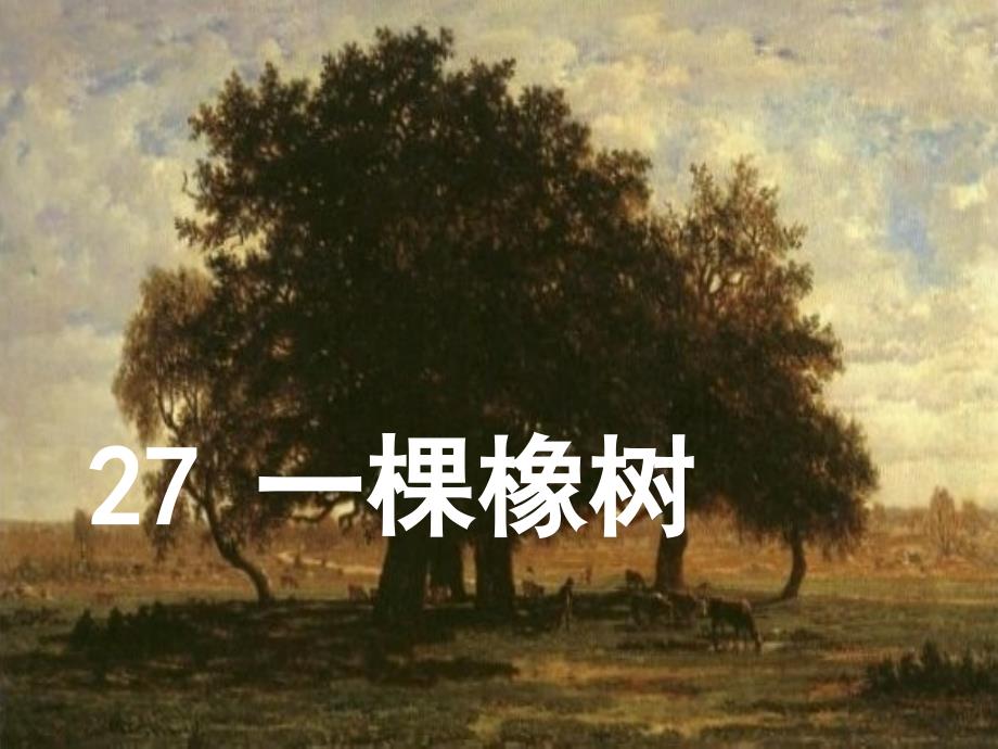 27、一棵橡树（四上）_第1页