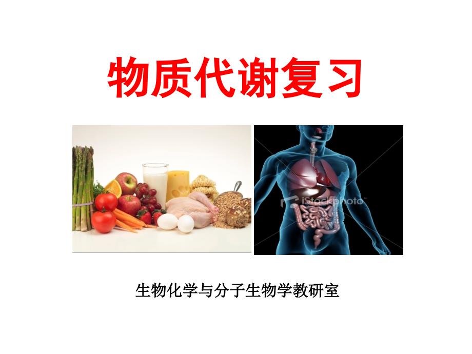 物质代谢复习（精品）_第1页