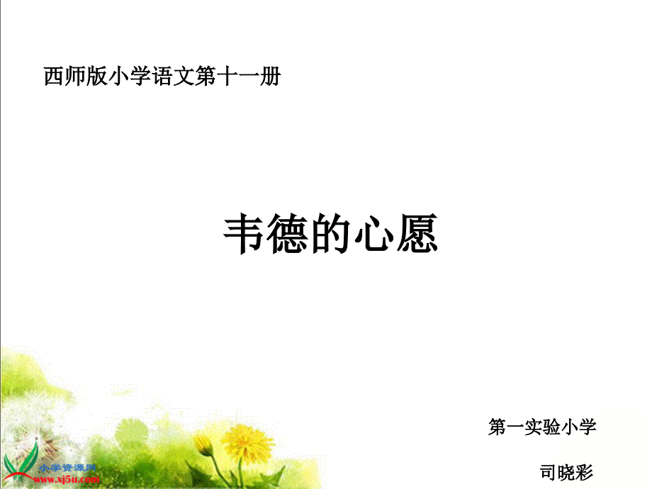 西师大版六年级语文韦德的心愿gdkj_第1页