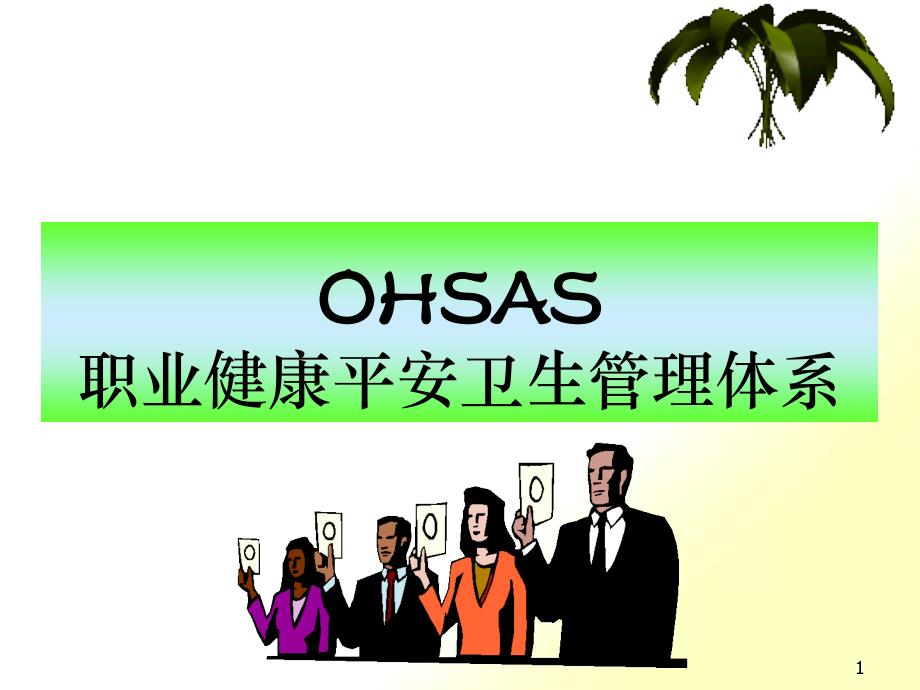 OHSAS职业健康安全卫生管理体系(3)_第1页