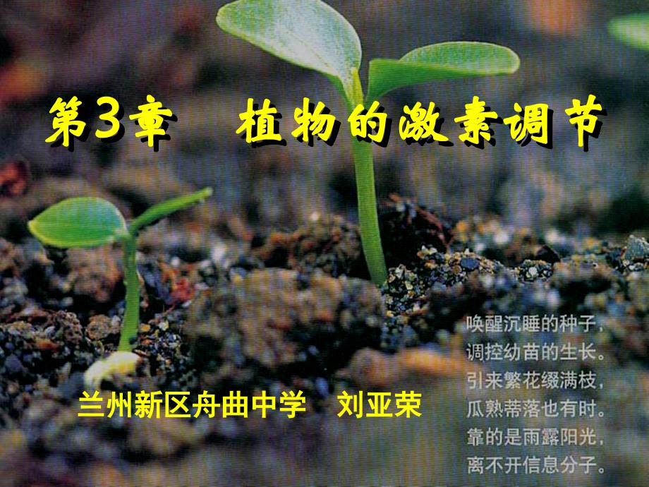 331《植物生长素的发现》-刘亚荣_第1页