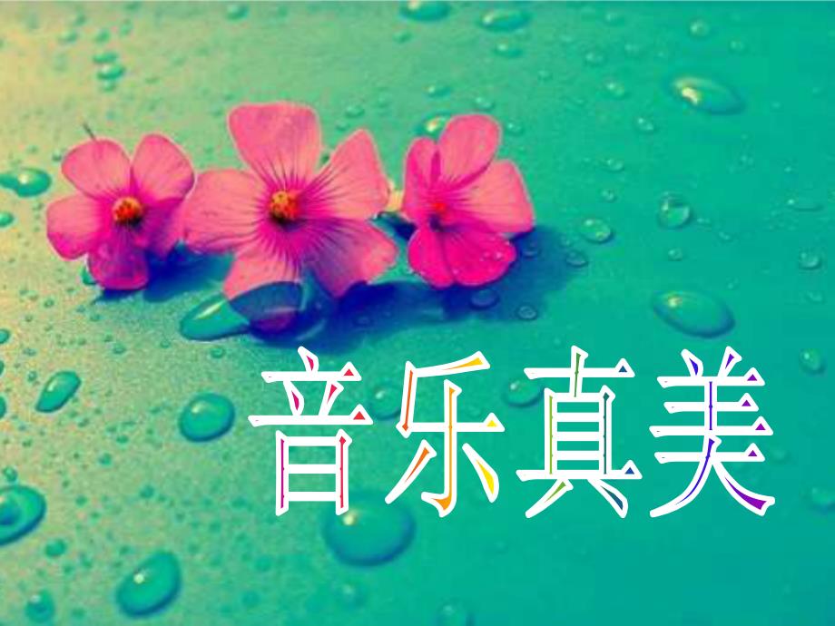 《打字机》课件_第1页