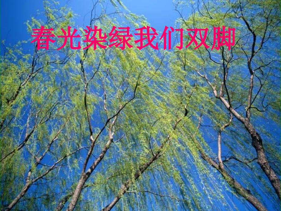 1春光染绿我们双脚1（教育精品）_第1页