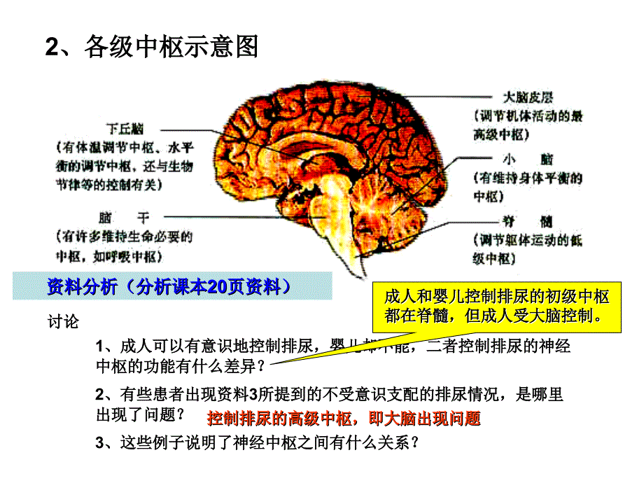 生物：21通过神经系统的调节_第1页