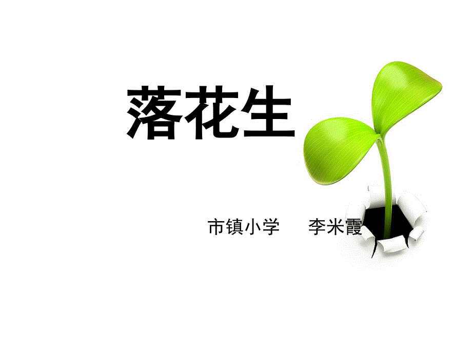 《落花生》课件4_第1页